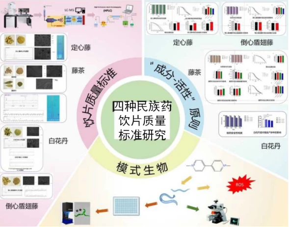 普洱良品益康藥業有限公司與同濟大學合作提升民族藥研發水平和企業創新能力